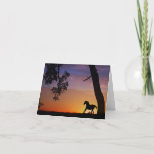 Cartões de Nota de Cavalo vazio