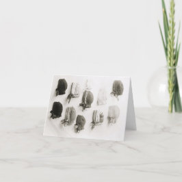 Cartões de nota de chapéu de malha