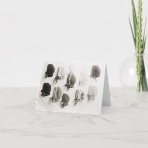 Cartões de nota de chapéu de malha