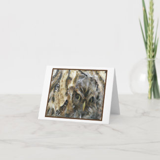 Cartões de Nota de Coruja