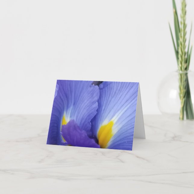 Cartões de Nota de Detalhes das Flores Iris Azuis (Frente)