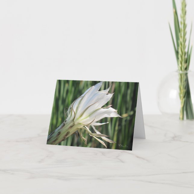 Cartões de Nota de Flor Cactus (Frente)