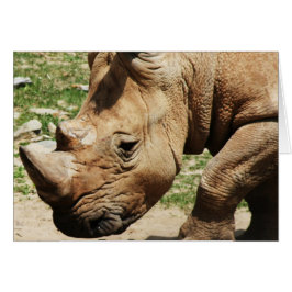 CARTÕES DE NOTA DE FOTOS EM ANIMAIS