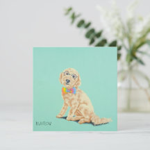 Cartões de Nota de Goldendoodle Groovy