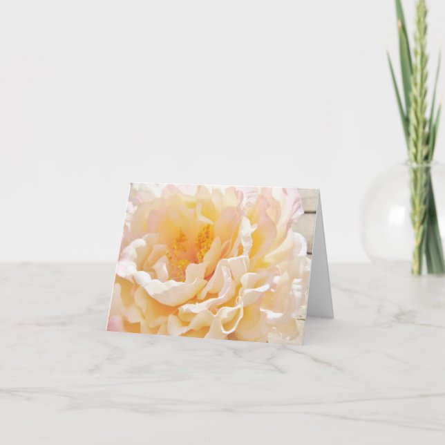 Cartões de Nota de Peony Branco (Frente)