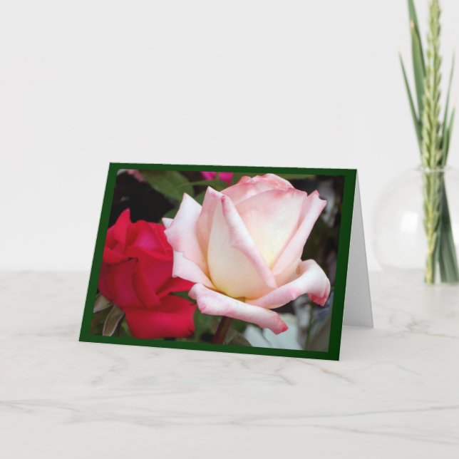 Cartões de Nota de Rosas Rosa Vermelhas (Frente)