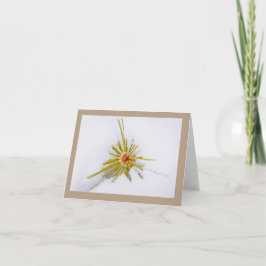 Cartões de Nota de Snapshots do Sierra Oriental