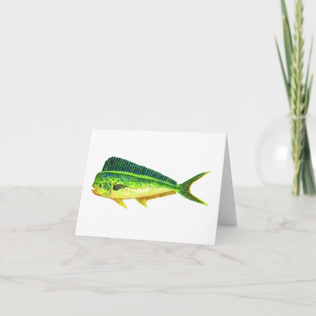 CARTÕES DE NOTA DE SPORTFISH (Frente)