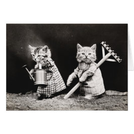 Cartões de Nota de Vintage Puppies e Kittens