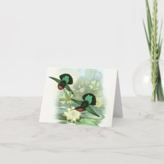 Cartões de nota de Waterlilies dos colibris de