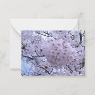 Cartões de Nota do Flor de Cereja Sakura