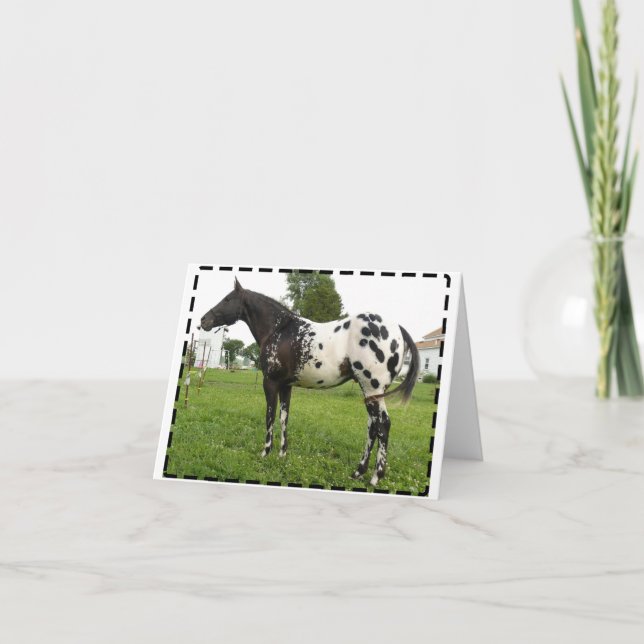 CARTÕES DE NOTA DO JATO DA ABELHA DA DANÇA (Frente)