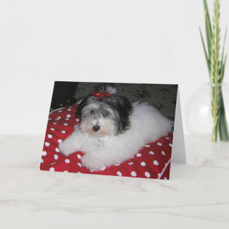 CARTÕES DE NOTA DOCES DE BROOKLYN