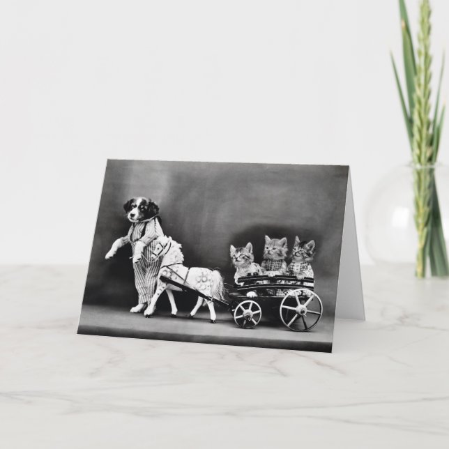 Cartões de nota dos filhotes de cachorro e dos (Frente)