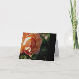 Cartões de Nota Minimalistas de Arte Fina de Rosa
