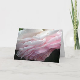 Cartões de Nota ou Saudação da Flor Rosa Rosa Rosa