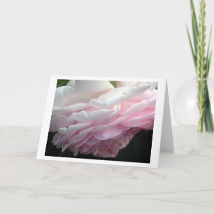 Cartões de Nota ou Saudação da Flor Rosa Rosa Rosa