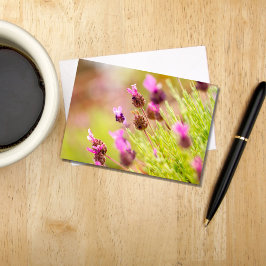 Cartões de Nota para Flores de Lavanda Francesas