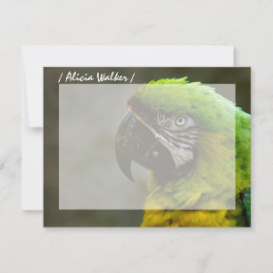 Cartões de Nota Plana Personalizados de Fotografia