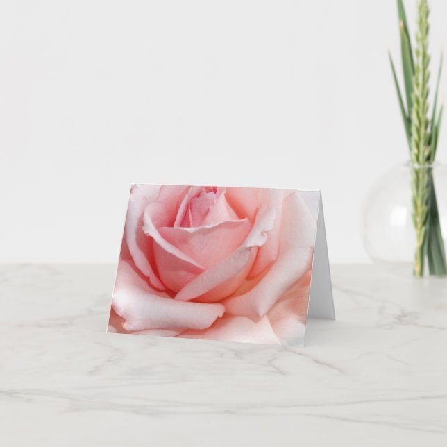 Cartões de Nota Rosa Rosa Rosa Rosa Rosa Rosa Rosa (Frente)