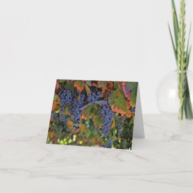 Cartões de nota vazios do vinho (Frente)