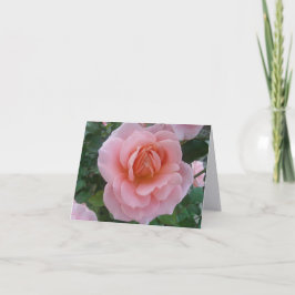 Cartões de Notas Dobrados Românticos Rosa Suave
