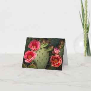 Cartões de Notas e Saudação Personalizada do Cactu
