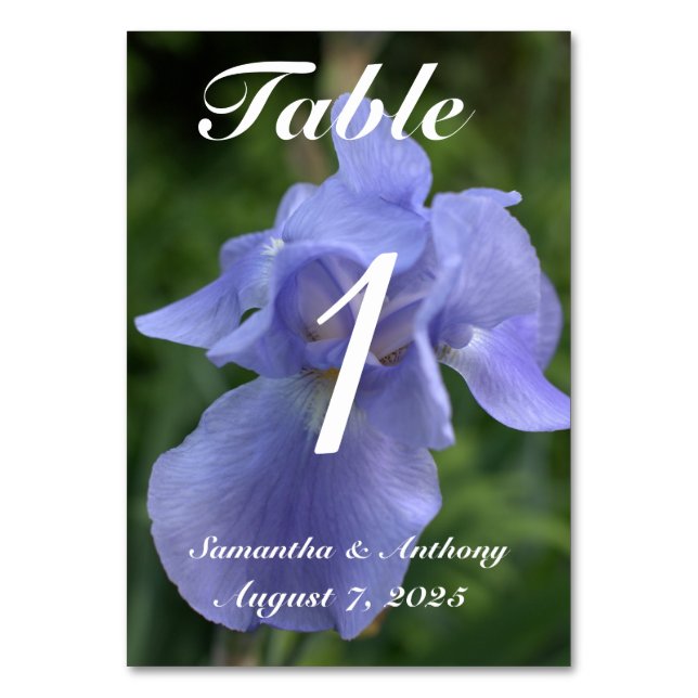 Cartões de Número de Mesa de Casamento Floral Viol (Verso)