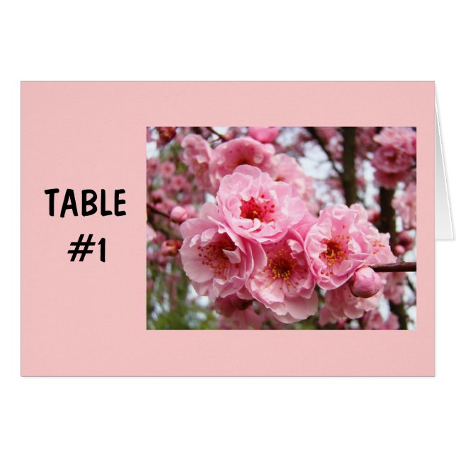 Cartões de Número de Mesa Flores Cor-de-Rosa Festa (Frente horizontal)