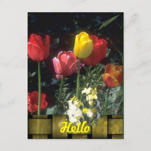 Cartões de Olá (Frente)