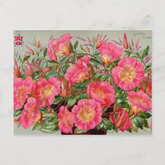 Cartões de Pacotes de Sementes da Vintage, Postage