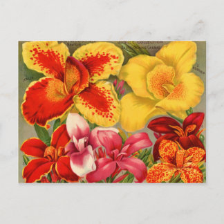 Cartões de Pacotes de Sementes da Vintage, Postage