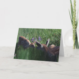 Cartões de papelaria Deer Doe Fawn dentro.