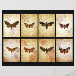 Cartões de plástico Vintage Moth ATC