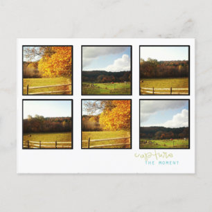 cartões de posto de fotos do instagram