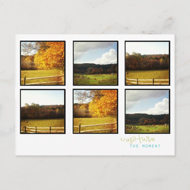 cartões de posto de fotos do instagram (Frente)