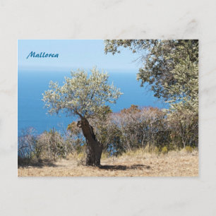 Cartões de Posto Maiorca