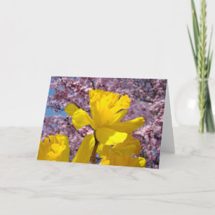 Cartões de Primavera Flores de Narciso Amarelo Flo