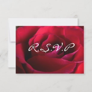Cartões de Rosa Personalizados Red Rose RSVP