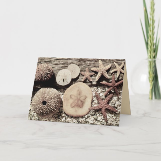 Cartões de Sanibel & Captiva (Frente)