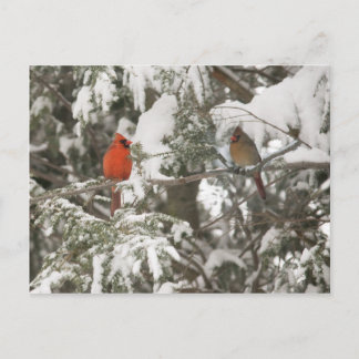 Cartões de saudação