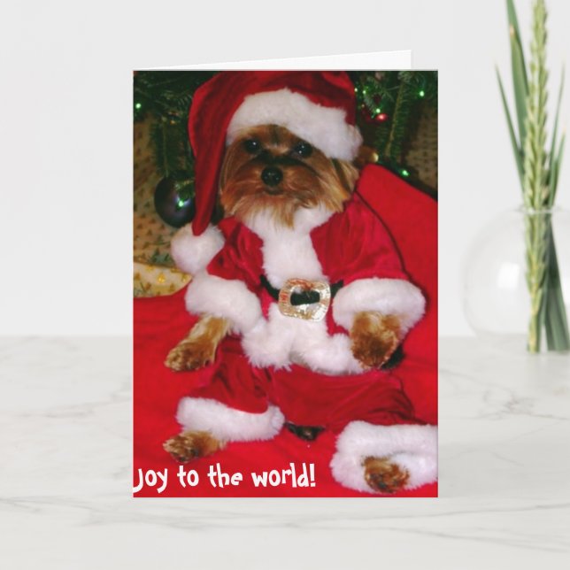 Cartões de saudação (Frente)