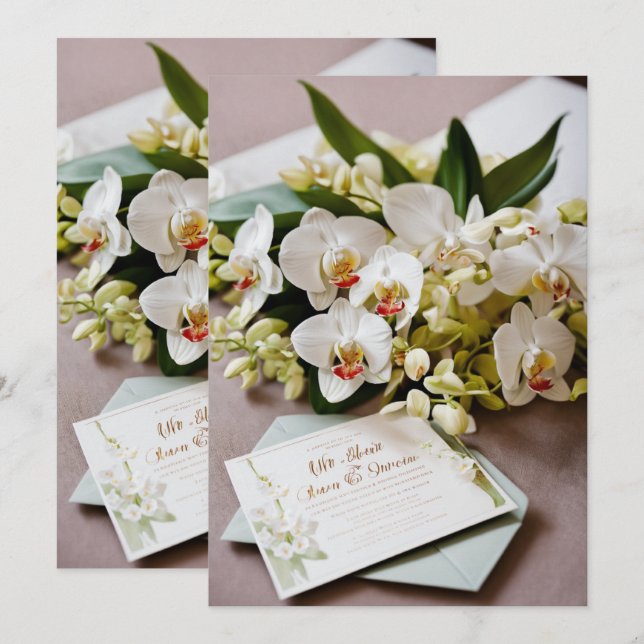 Cartões de Saudação > Cartões de Agradecimento (Frente/Verso)