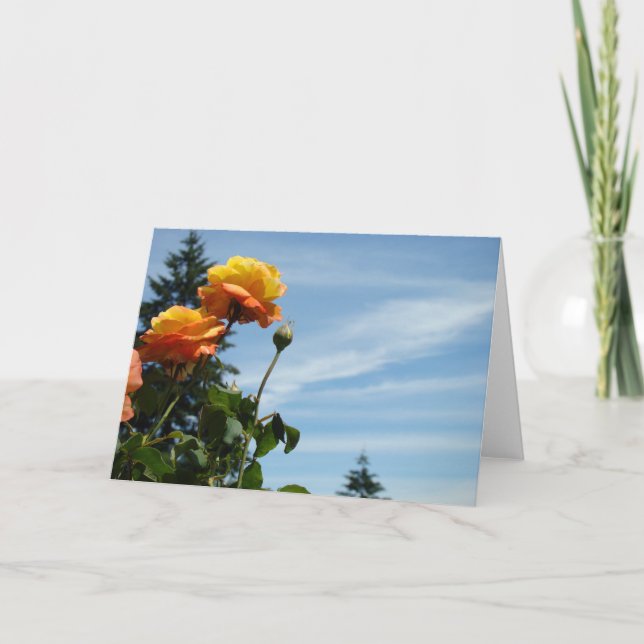 Cartões de saudação de céu azul Jardim Rosa de Ver (Frente)