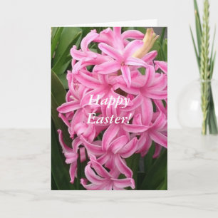 Cartões de saudação de Felz pascoa Hyacinths Rosa