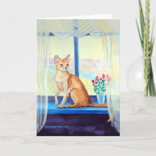Cartões de saudação de gatos abissários
