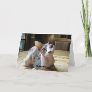 Cartões de saudação de relação