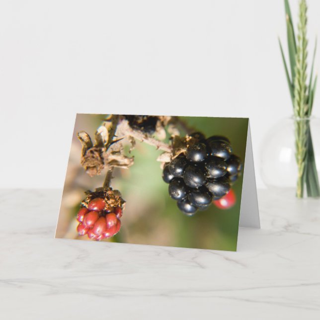 Cartões de Saudação do Autumn Berries (Frente)