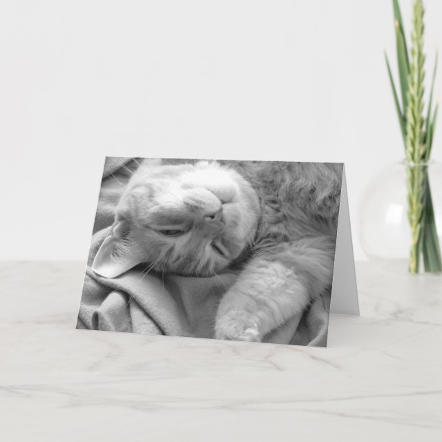 Cartões de Saudação do Cat Nap (Frente)