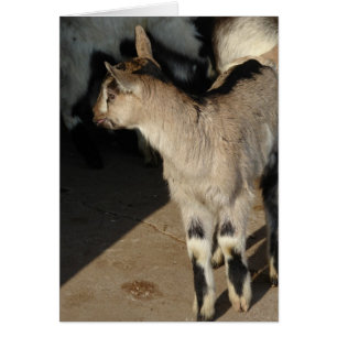 Cartões De Saudação Do Dentro De Caprinos